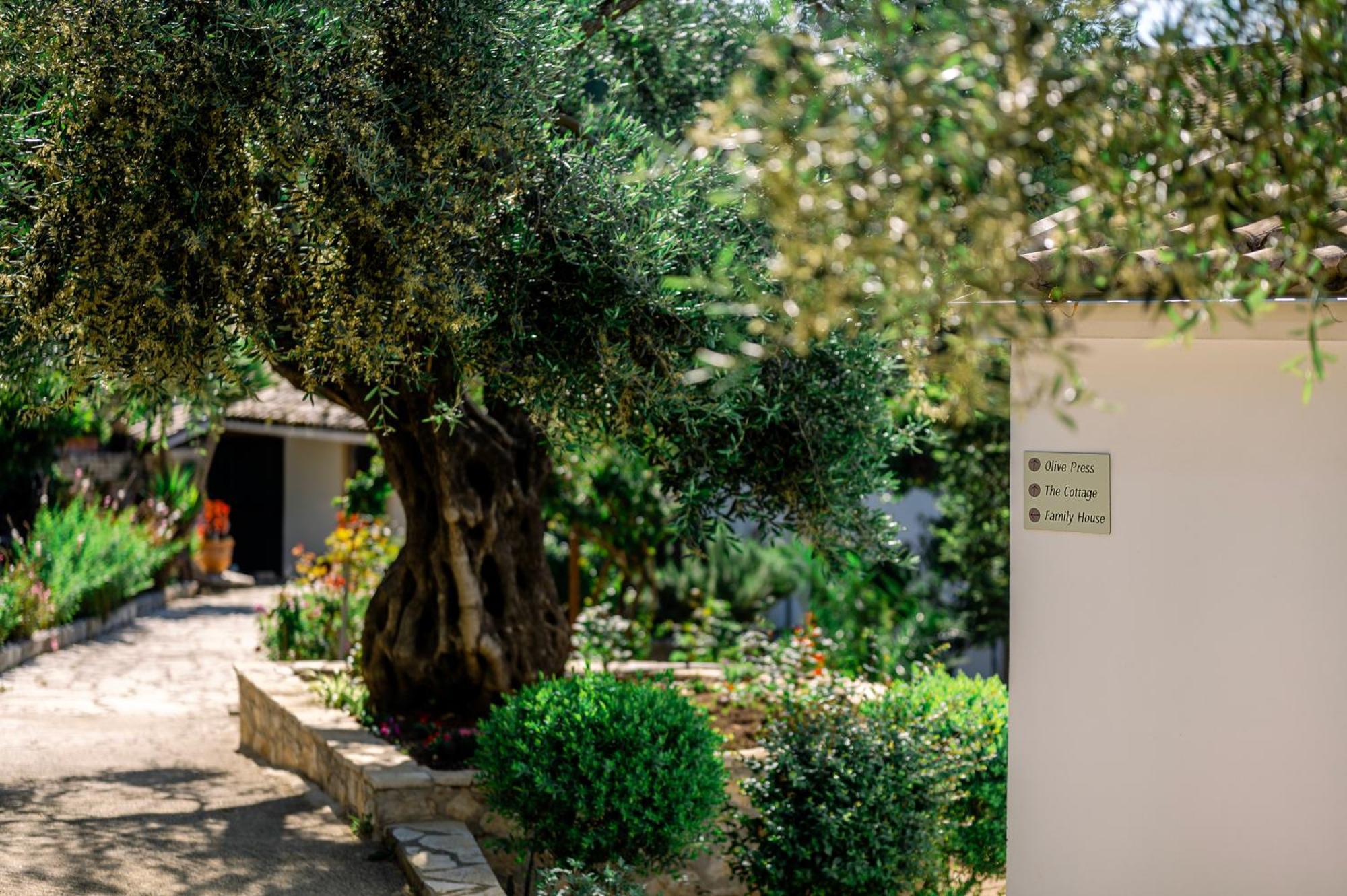 Nissaki Olive Press Villas ニサキオン エクステリア 写真