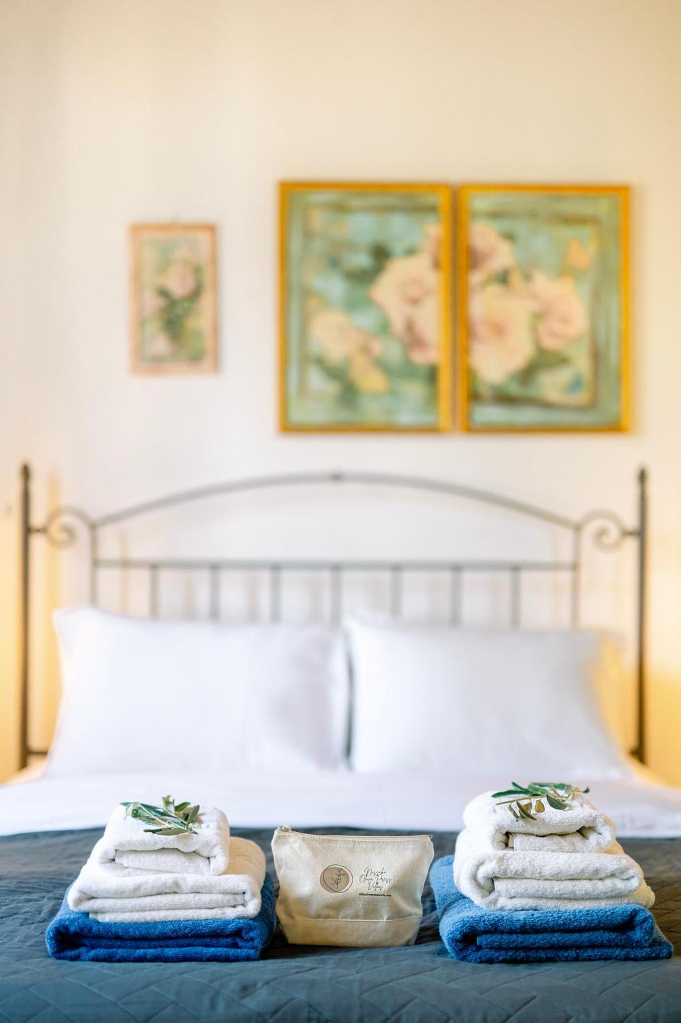 Nissaki Olive Press Villas ニサキオン エクステリア 写真